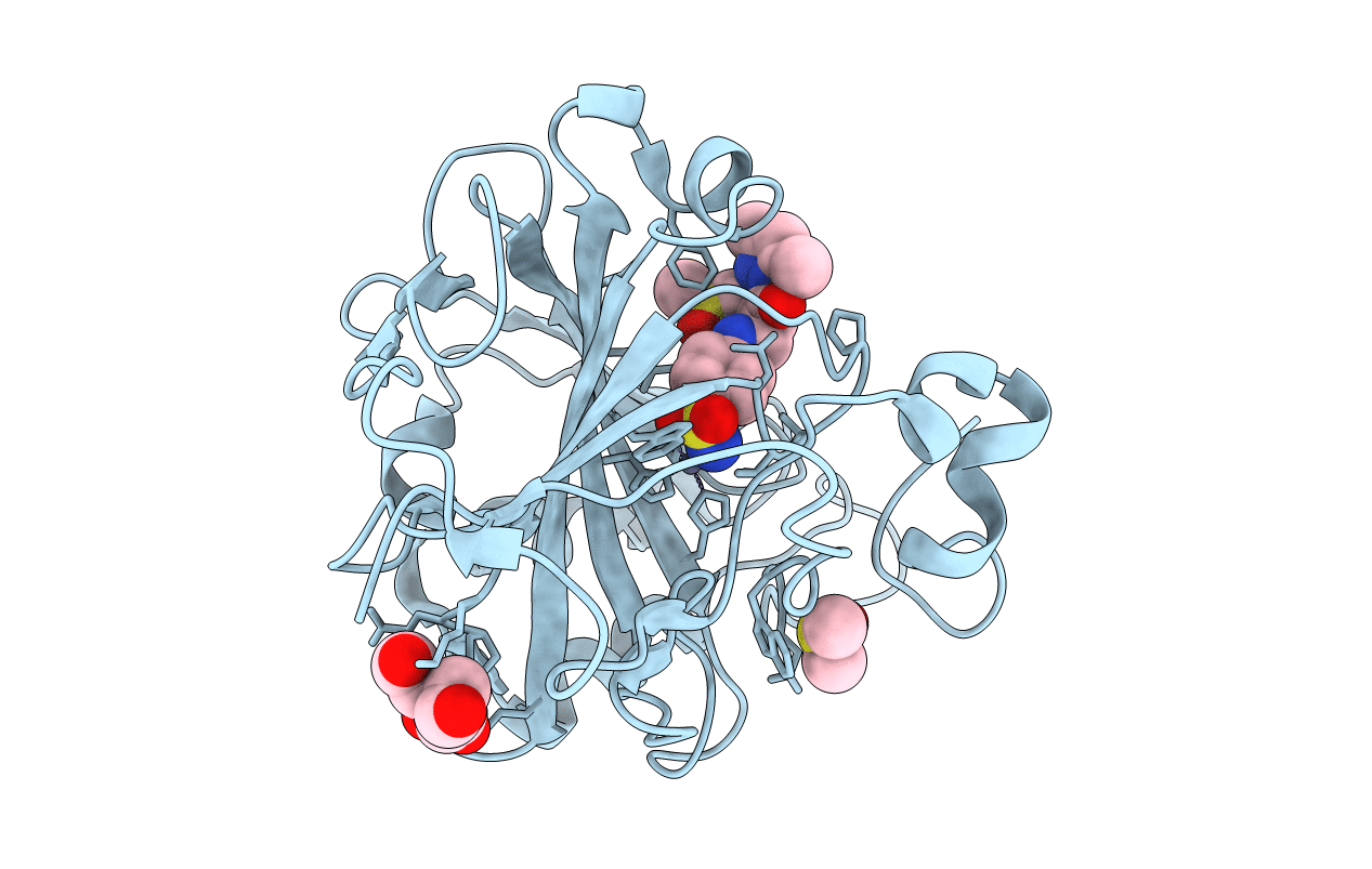 4Q6E image