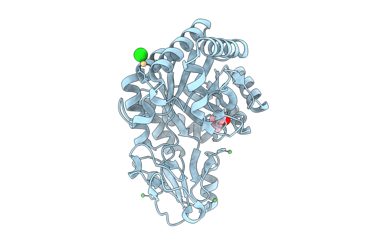 4Q6T image