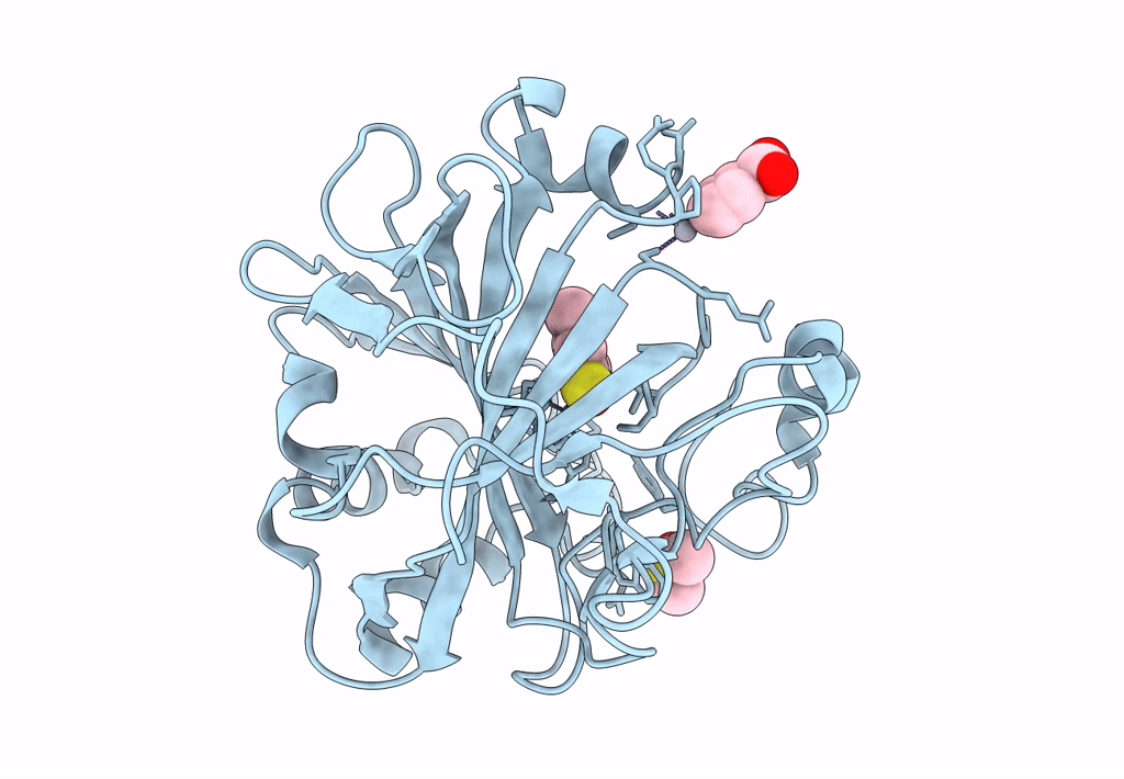 4Q81 image