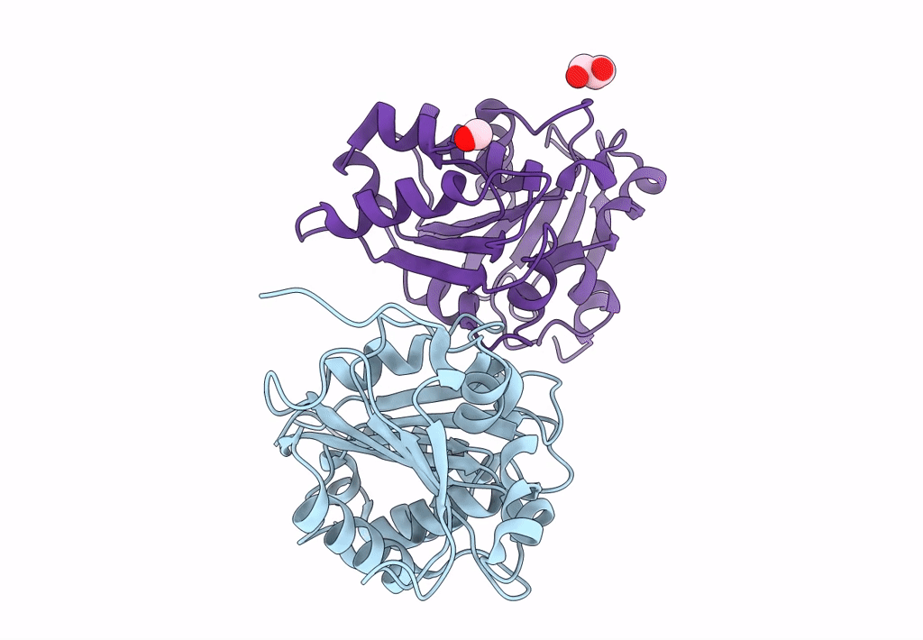 4Q82 image