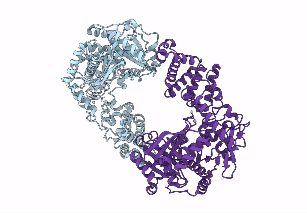 4q84 image