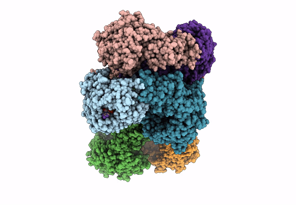 4Q85 image