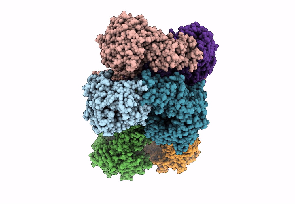 4Q86 image
