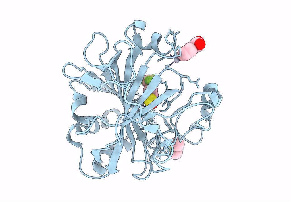 4Q87 image