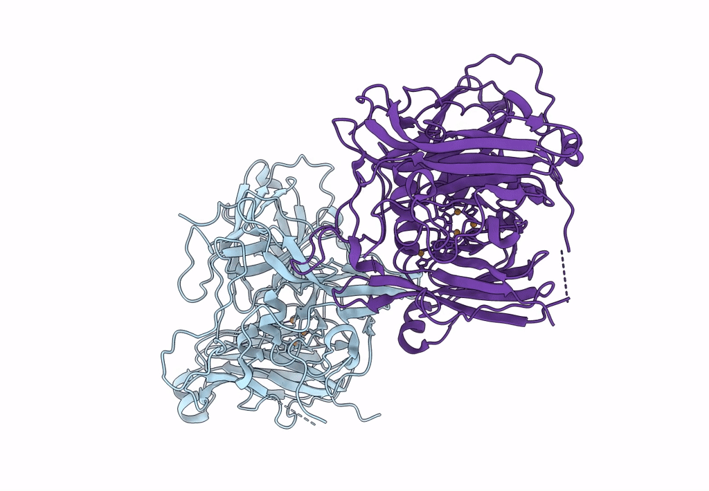 4Q89 image