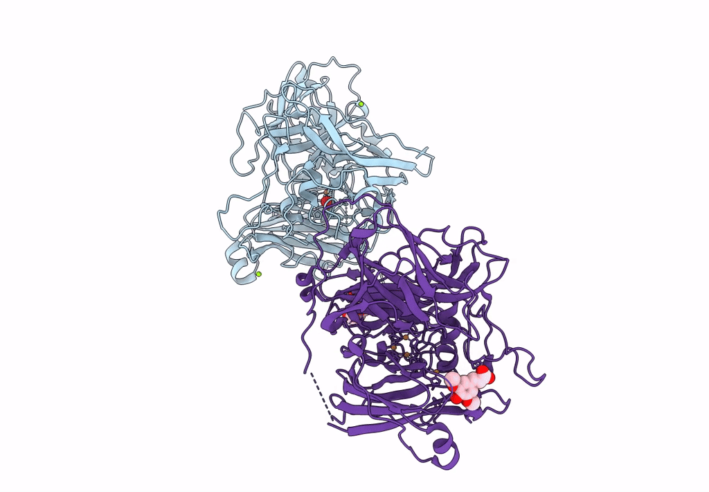 4Q8B image