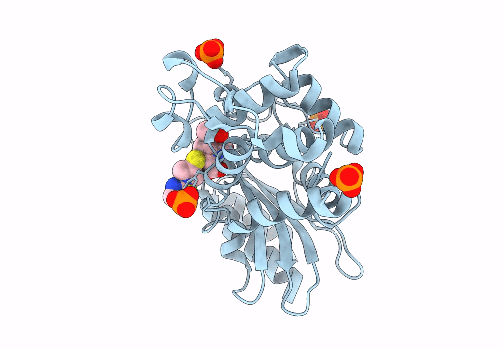 4Q8I image