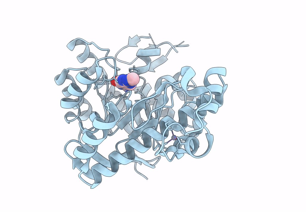 4Q8Q image