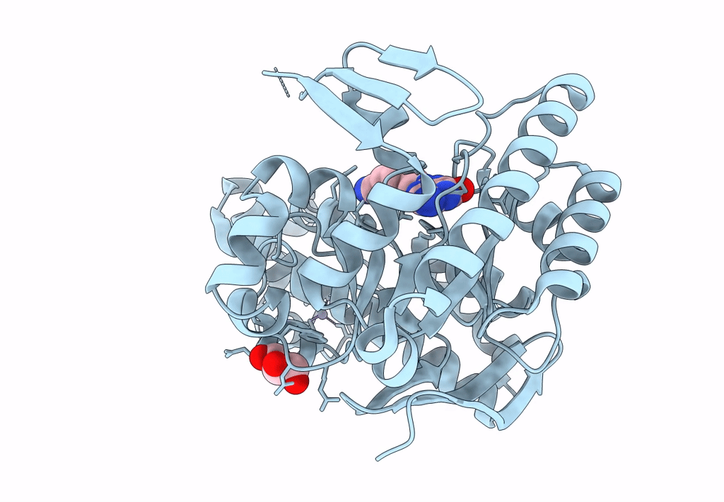 4Q8V image