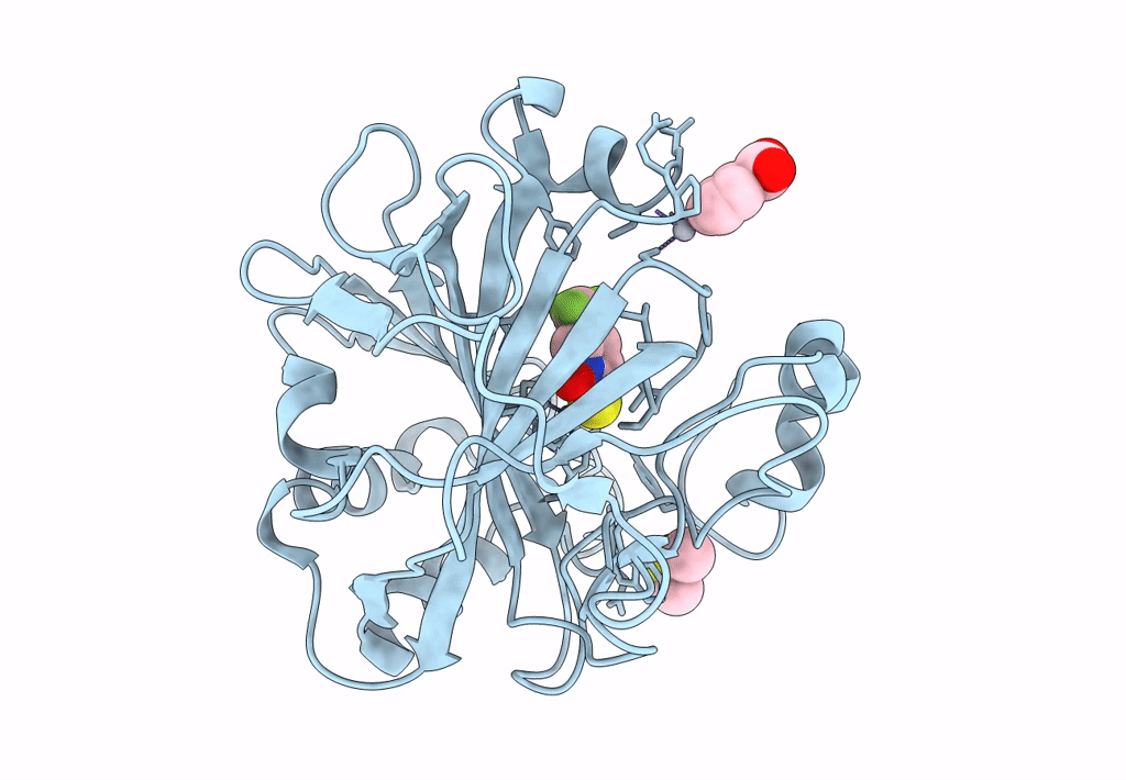 4Q8X image