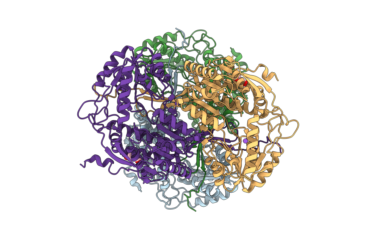 4Q92 image