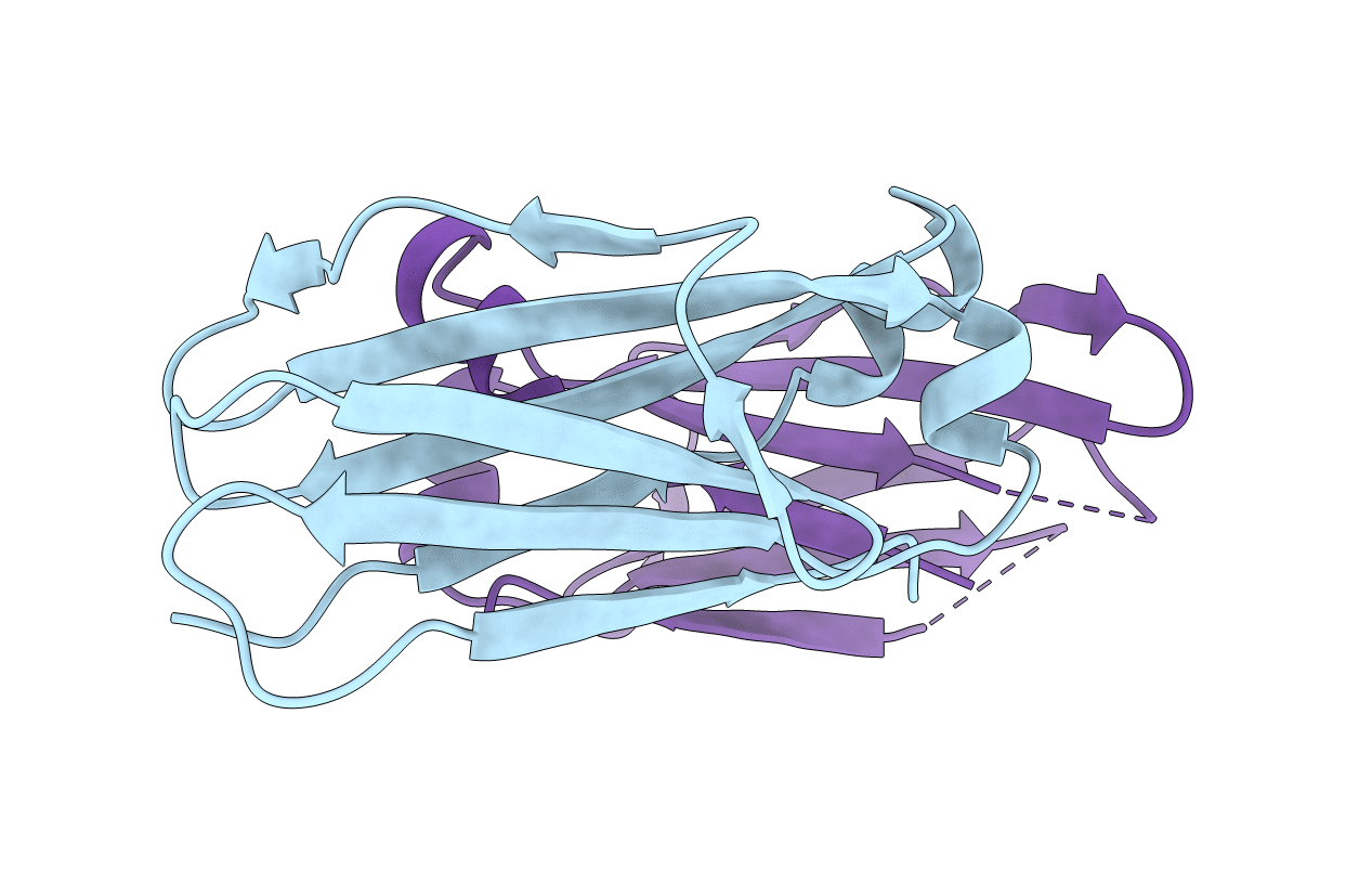 4Q9B image