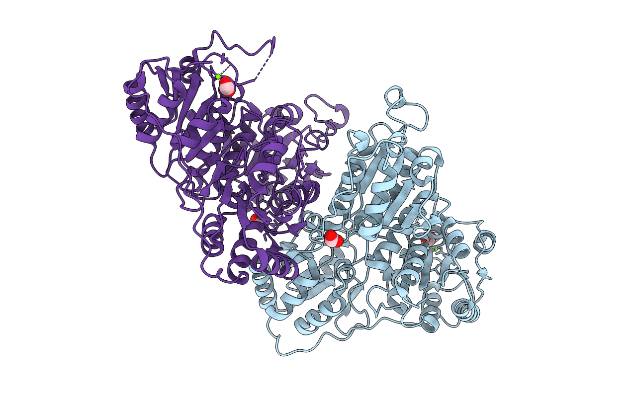 4Q9D image