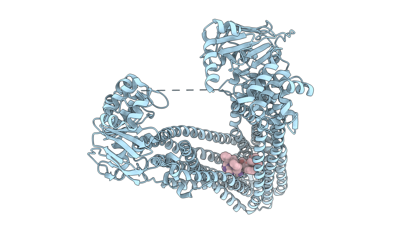 4Q9L image