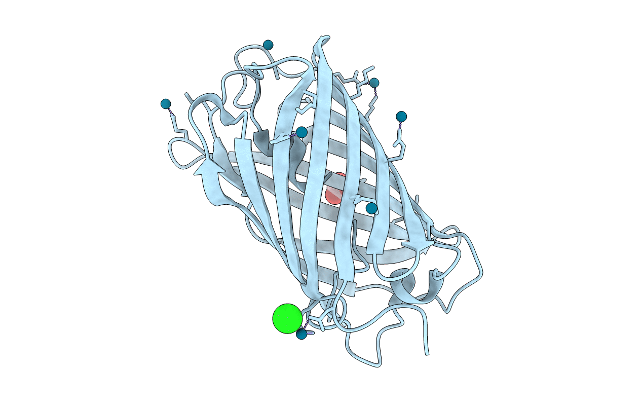 4Q9X image