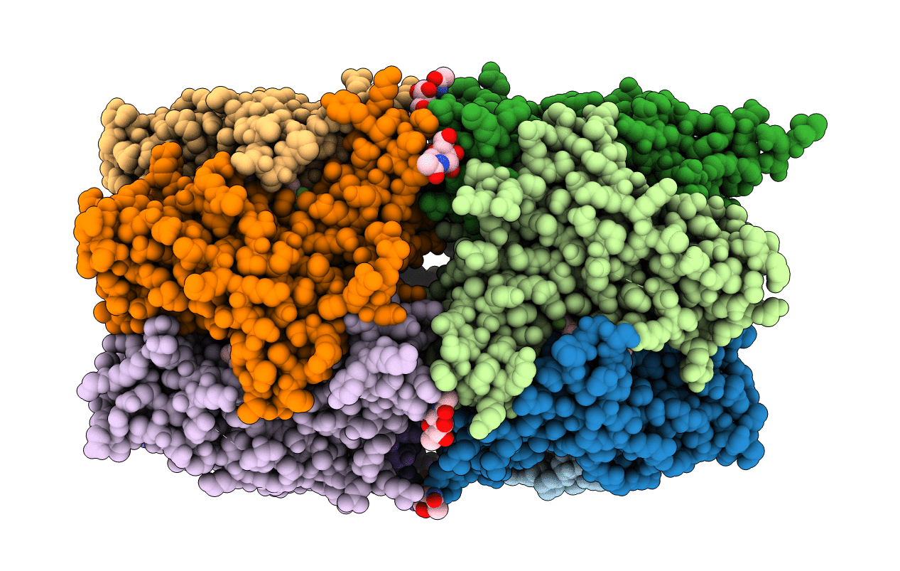4QAC image