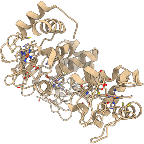 4QAO image