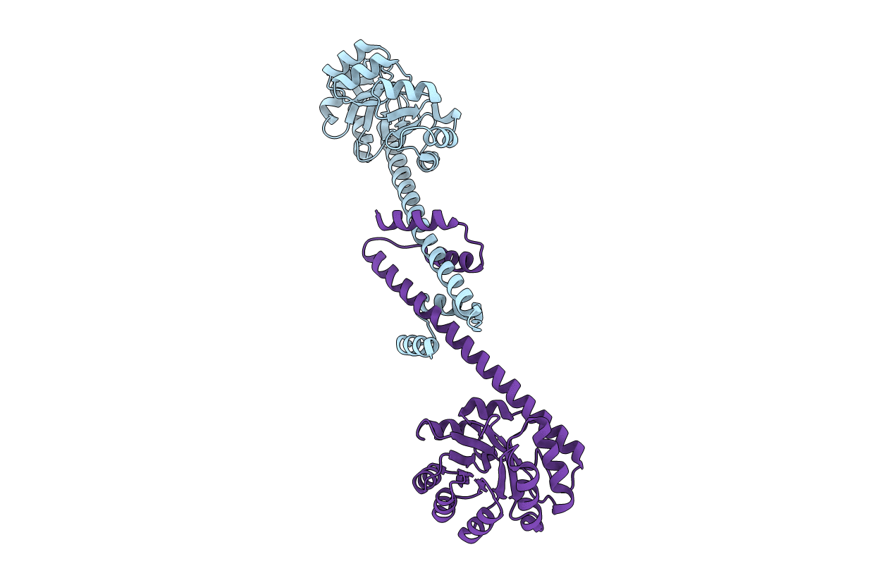 4QCC image