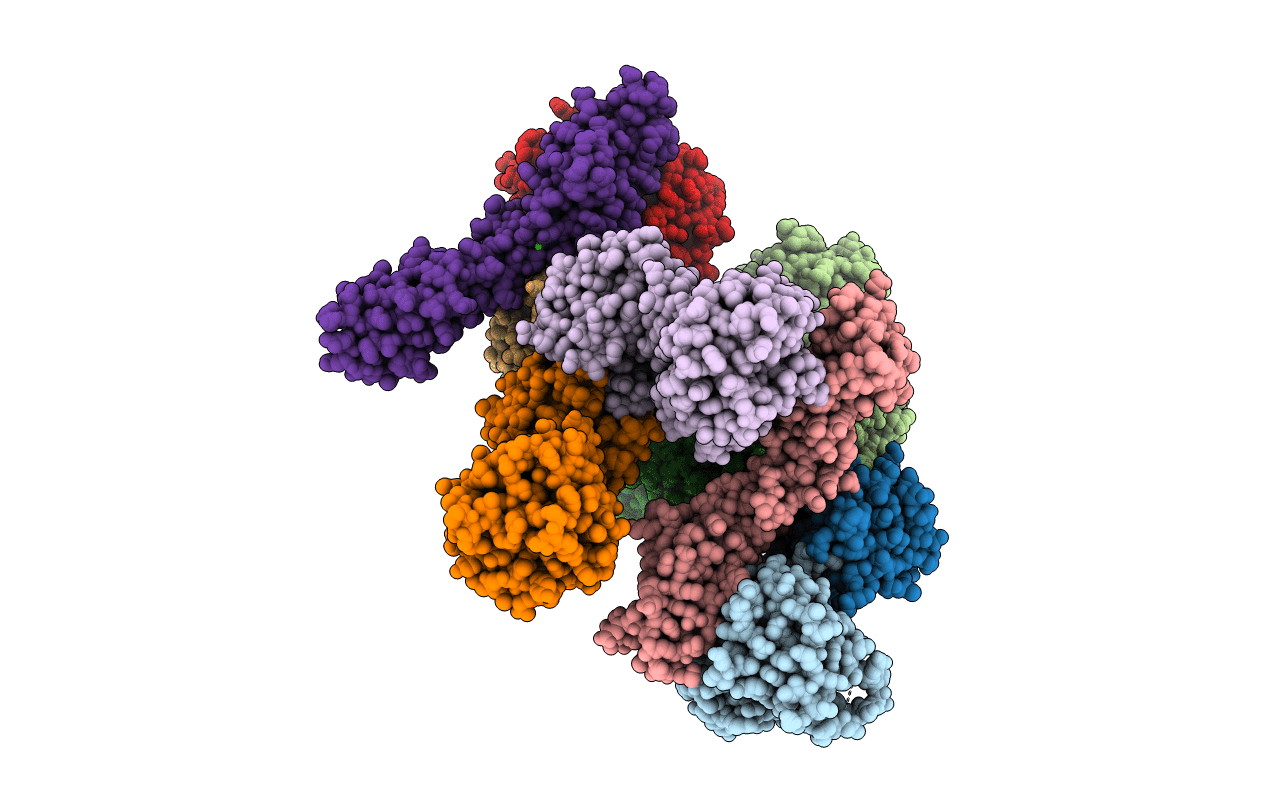 4QD2 image