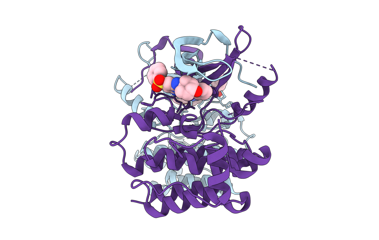 4QD6 image