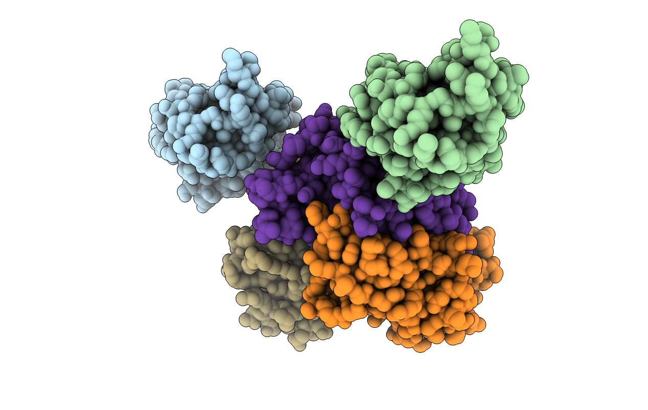 4QD7 image