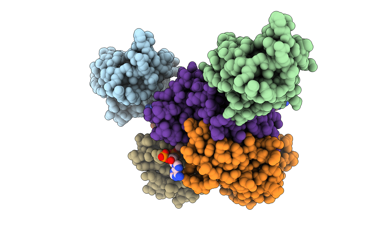 4QD8 image