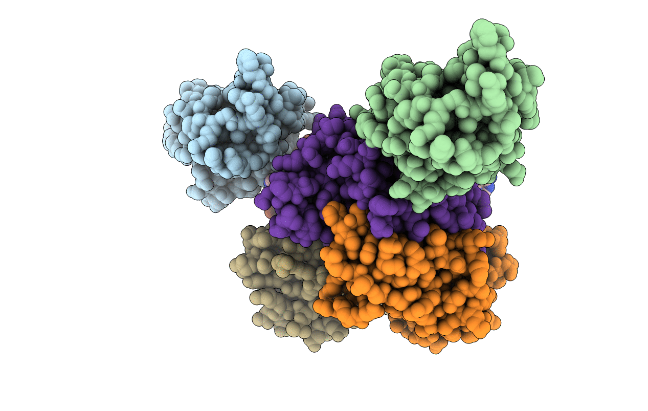 4QD9 image