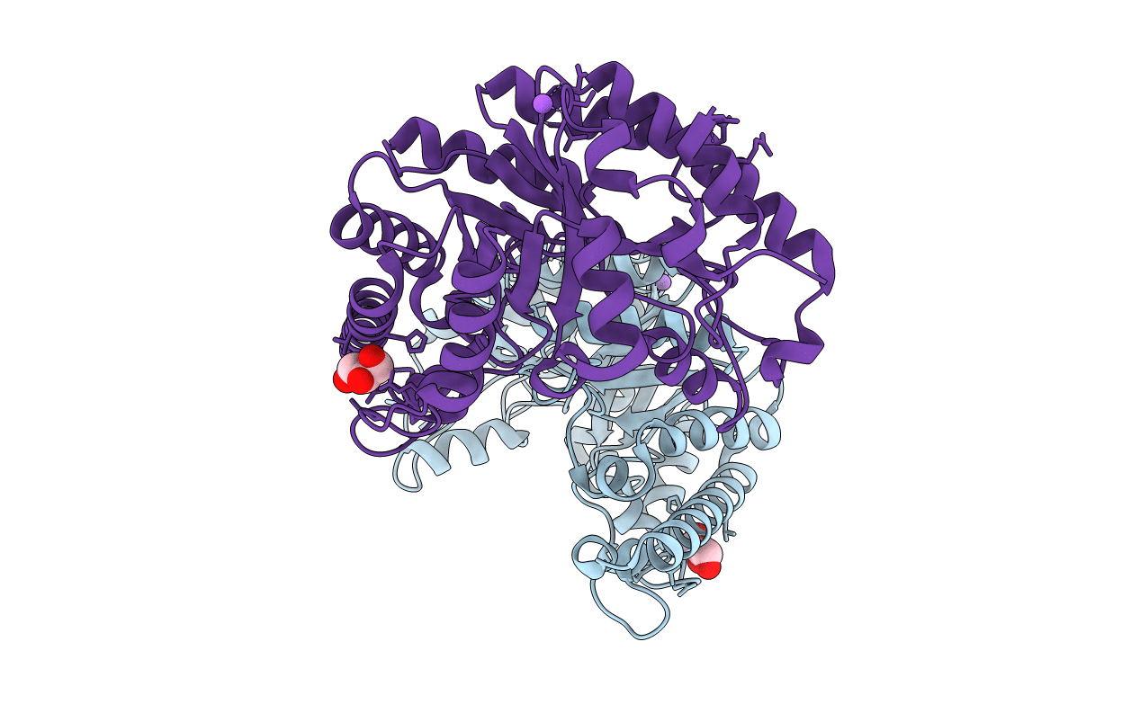 4QDM image