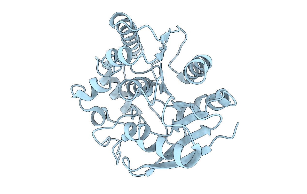 4QDT image