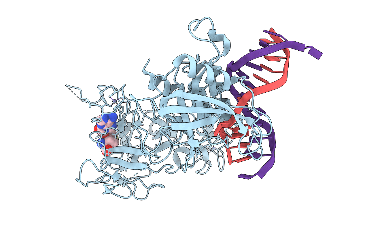 4QEP image