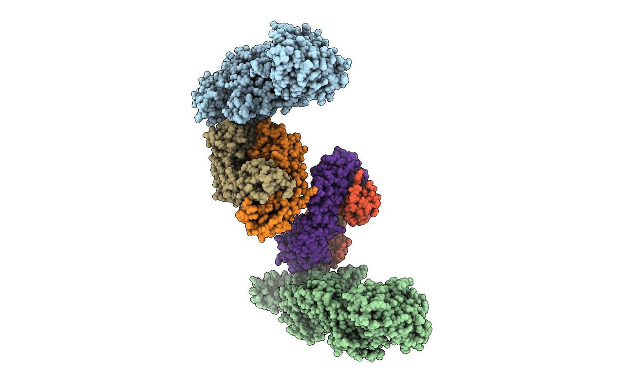 4QEX image