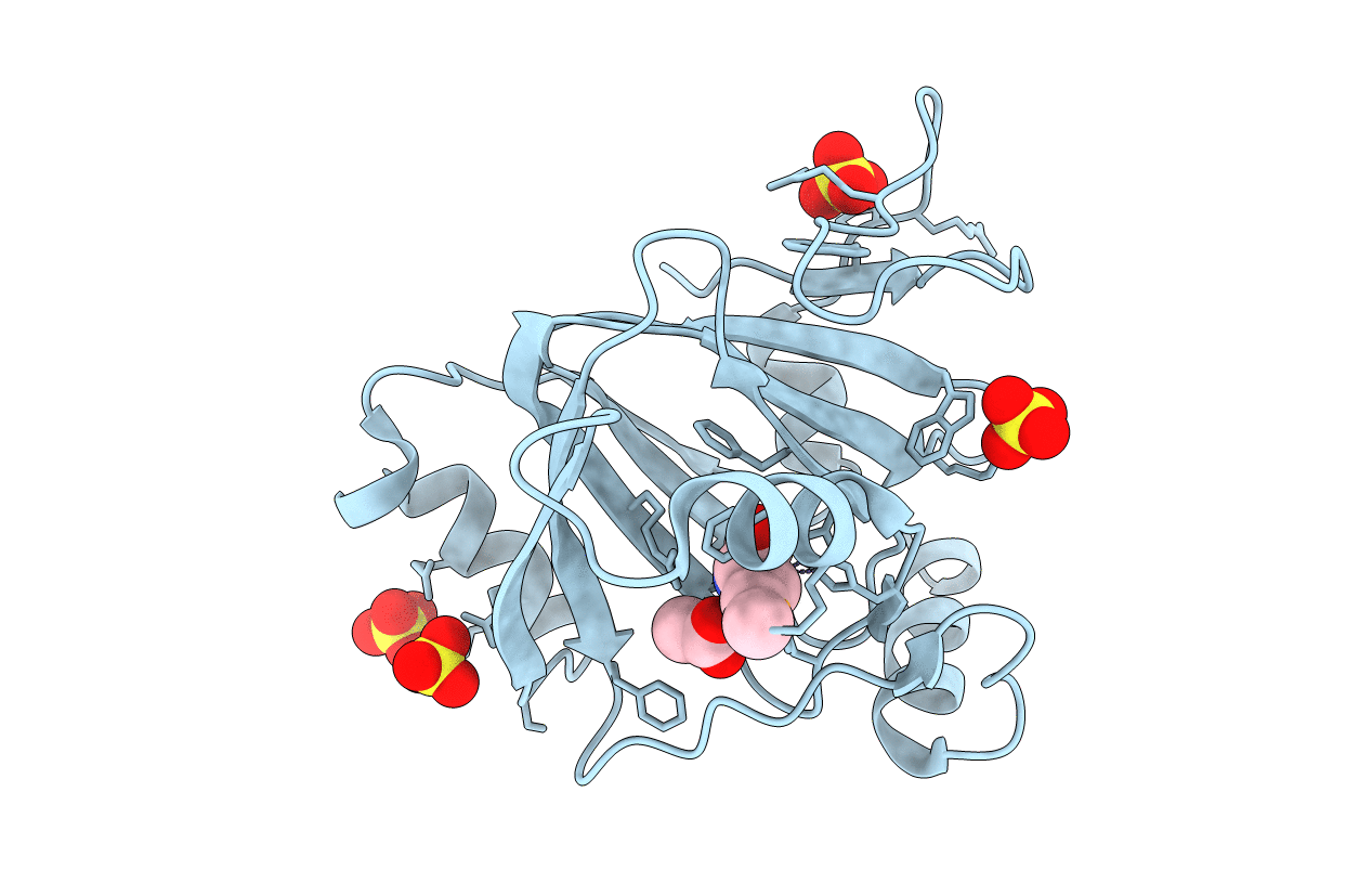 4QGN image