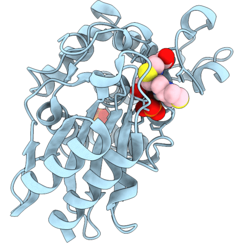 4QHC image