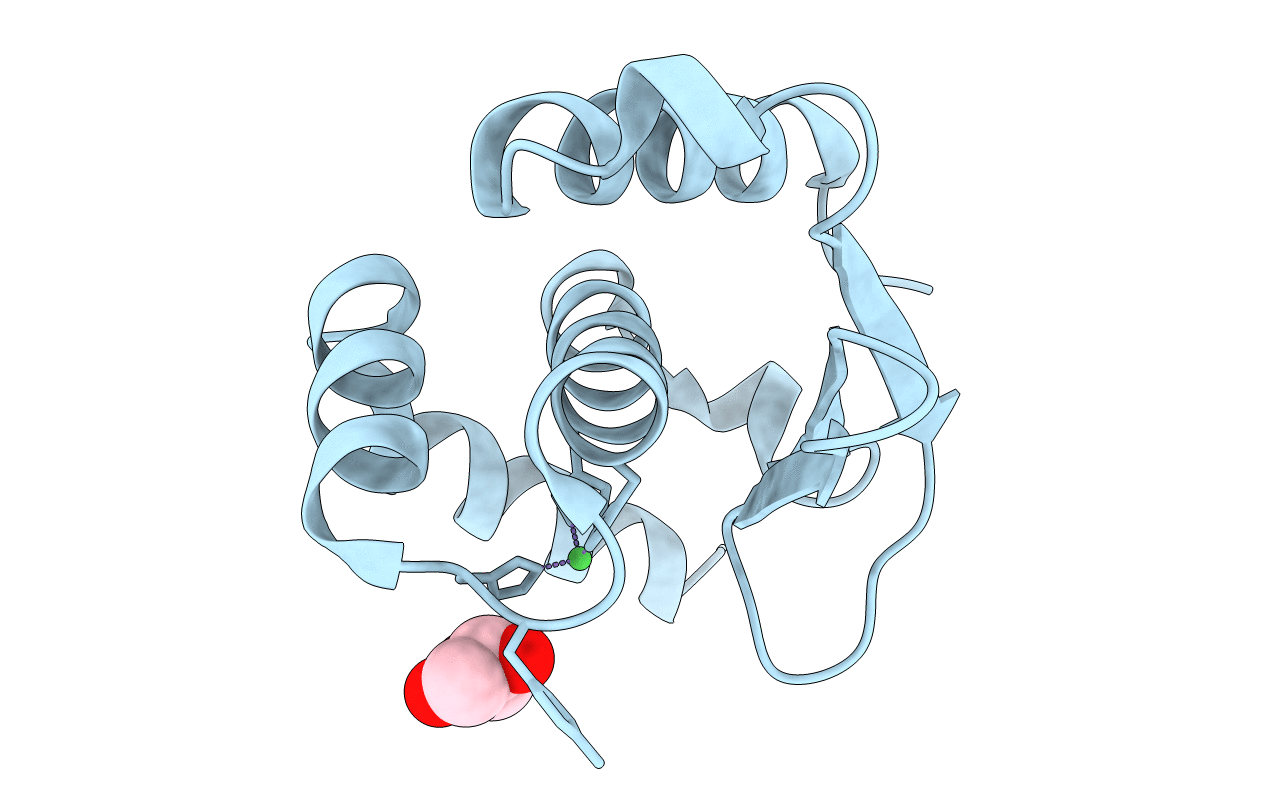 4QHF image