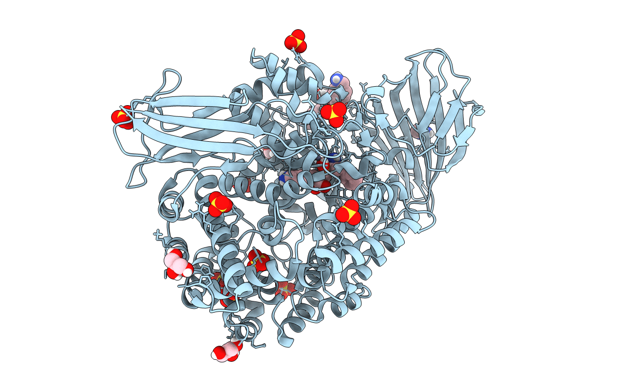 4QHP image