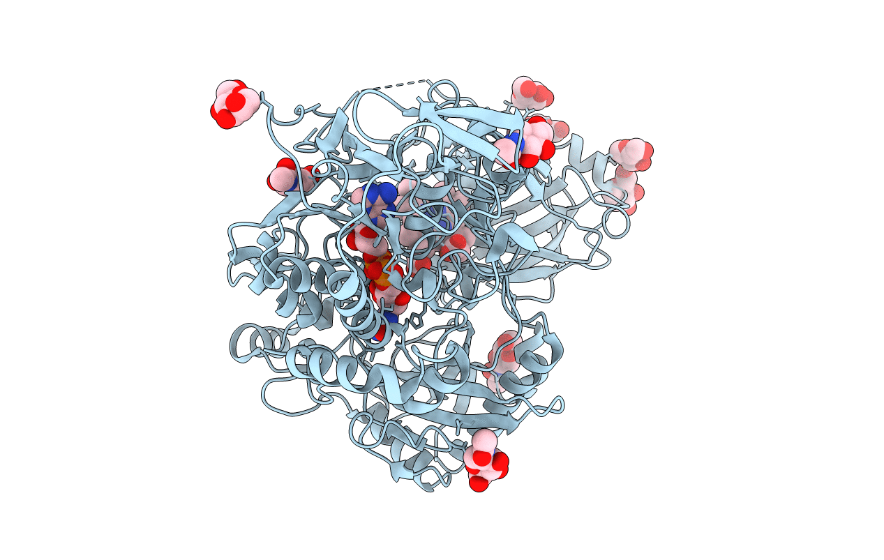 4QI6 image