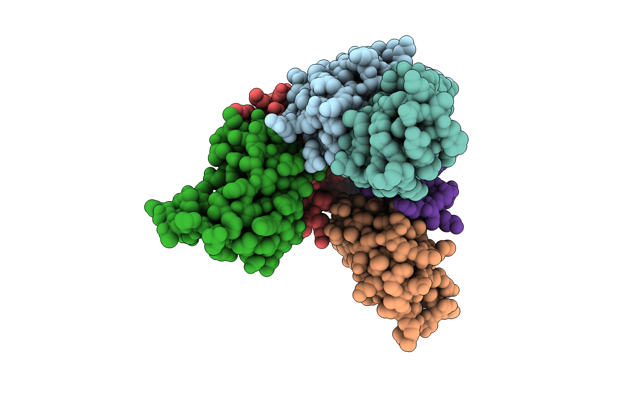 4QIG image