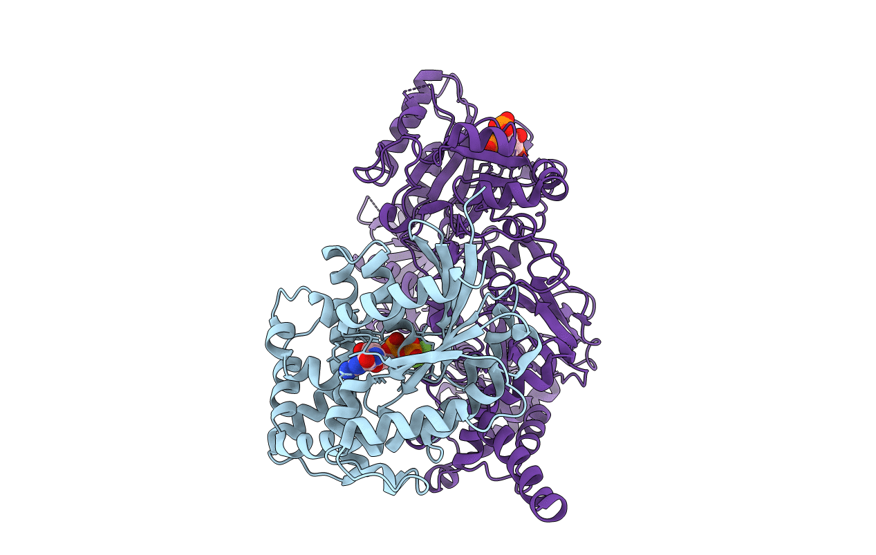 4QJ5 image