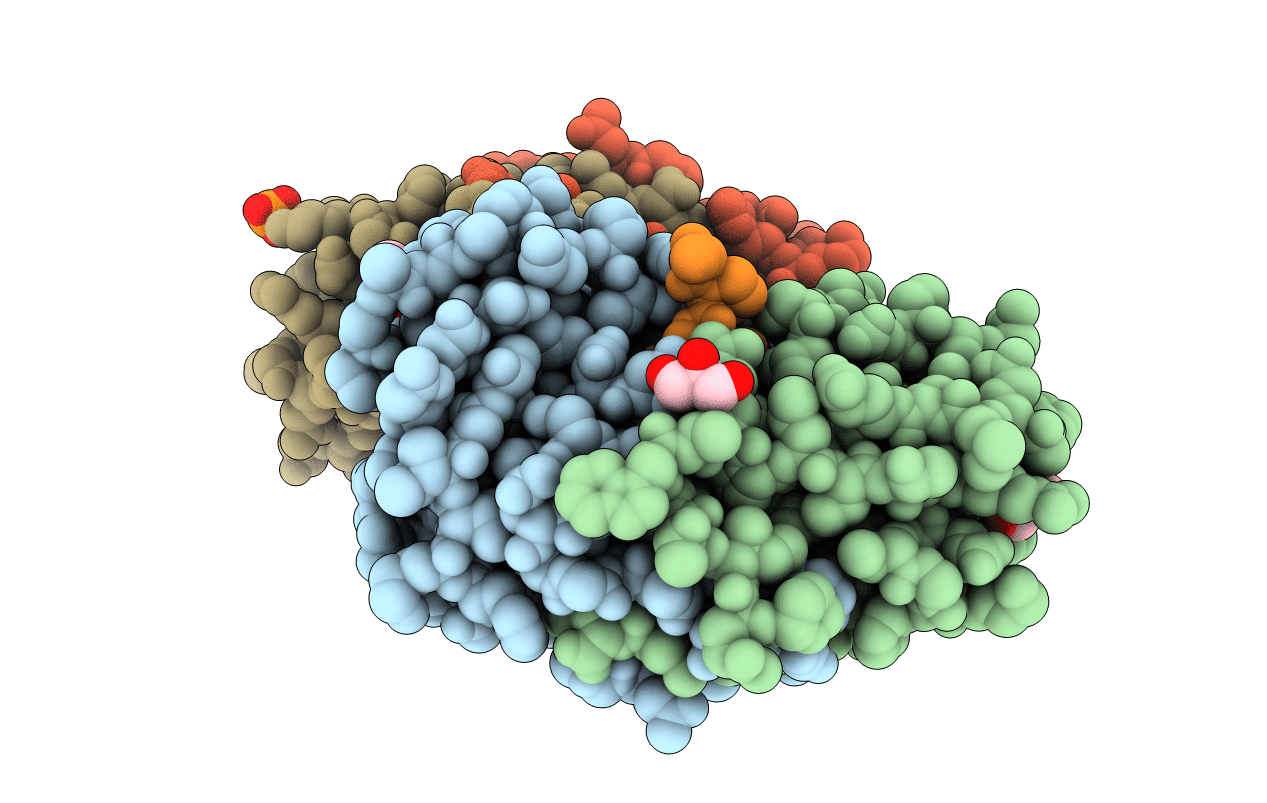 4QJ8 image