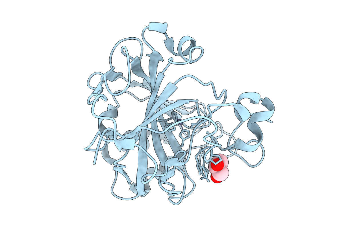 4QK2 image