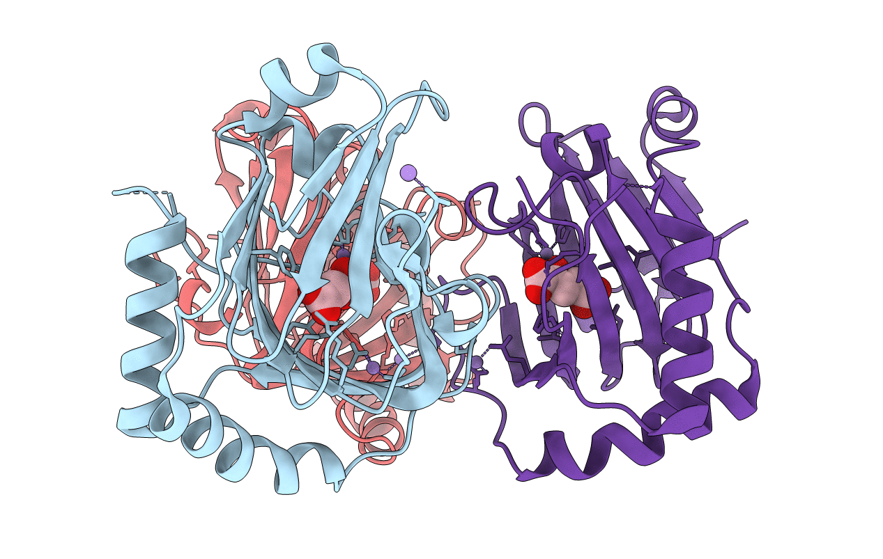 4QKB image