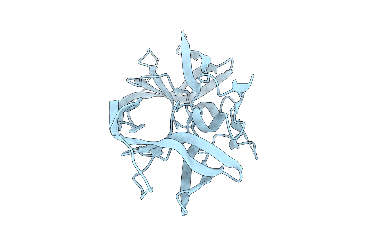 4QLH image
