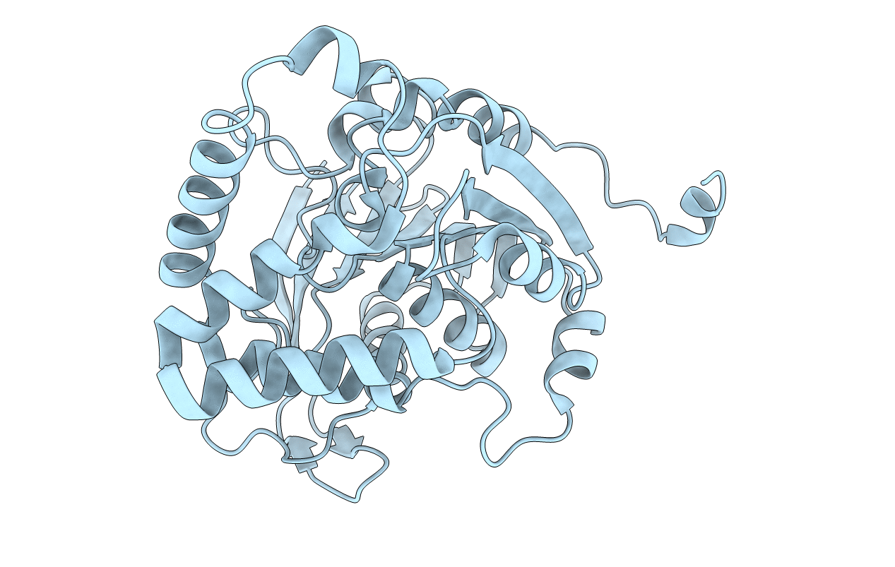4QLO image