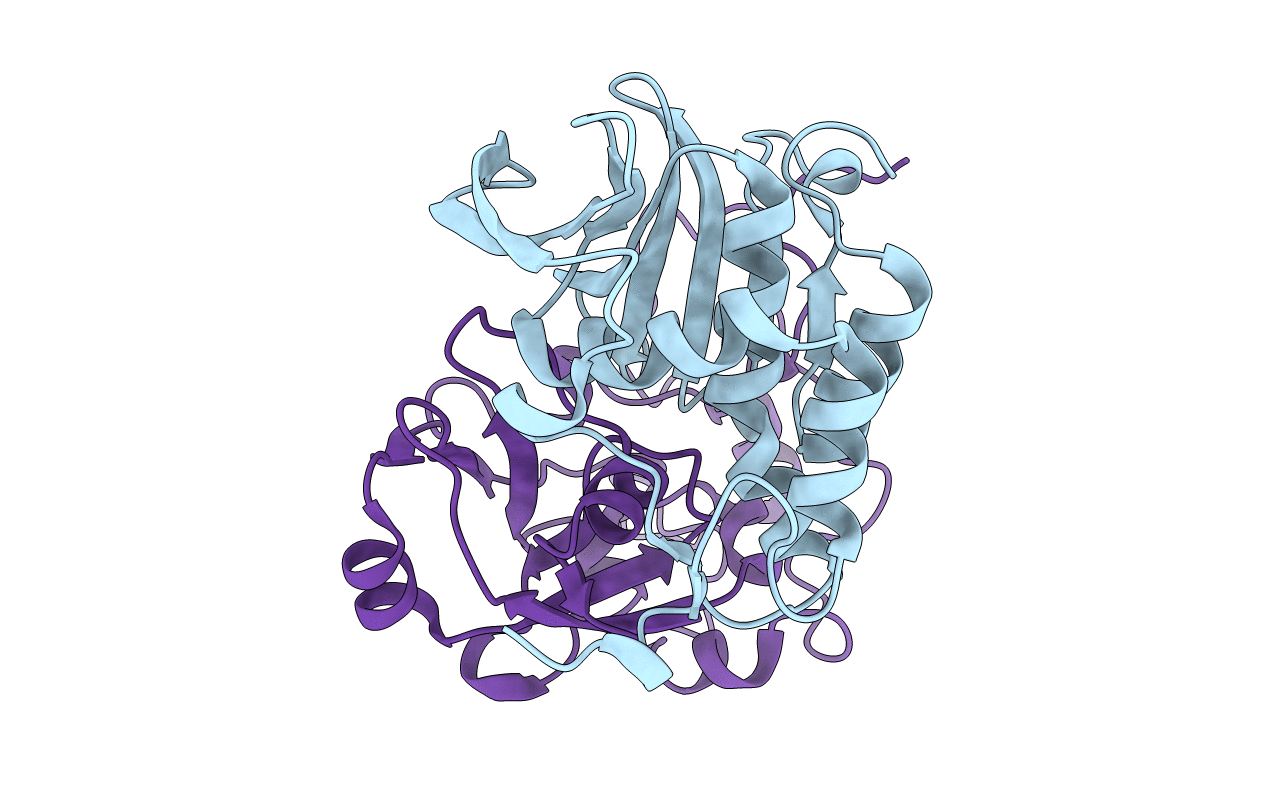 4QLP image