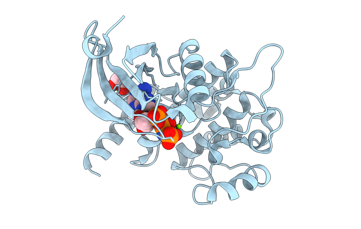4QML image