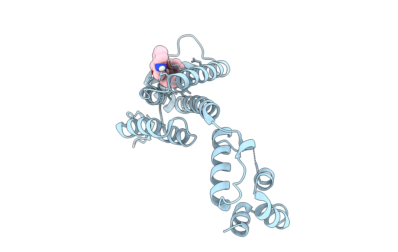 4QNB image
