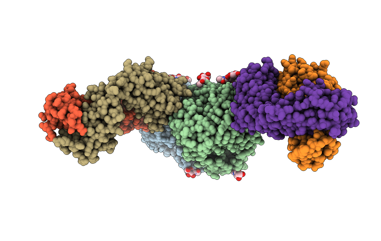 4QNP image