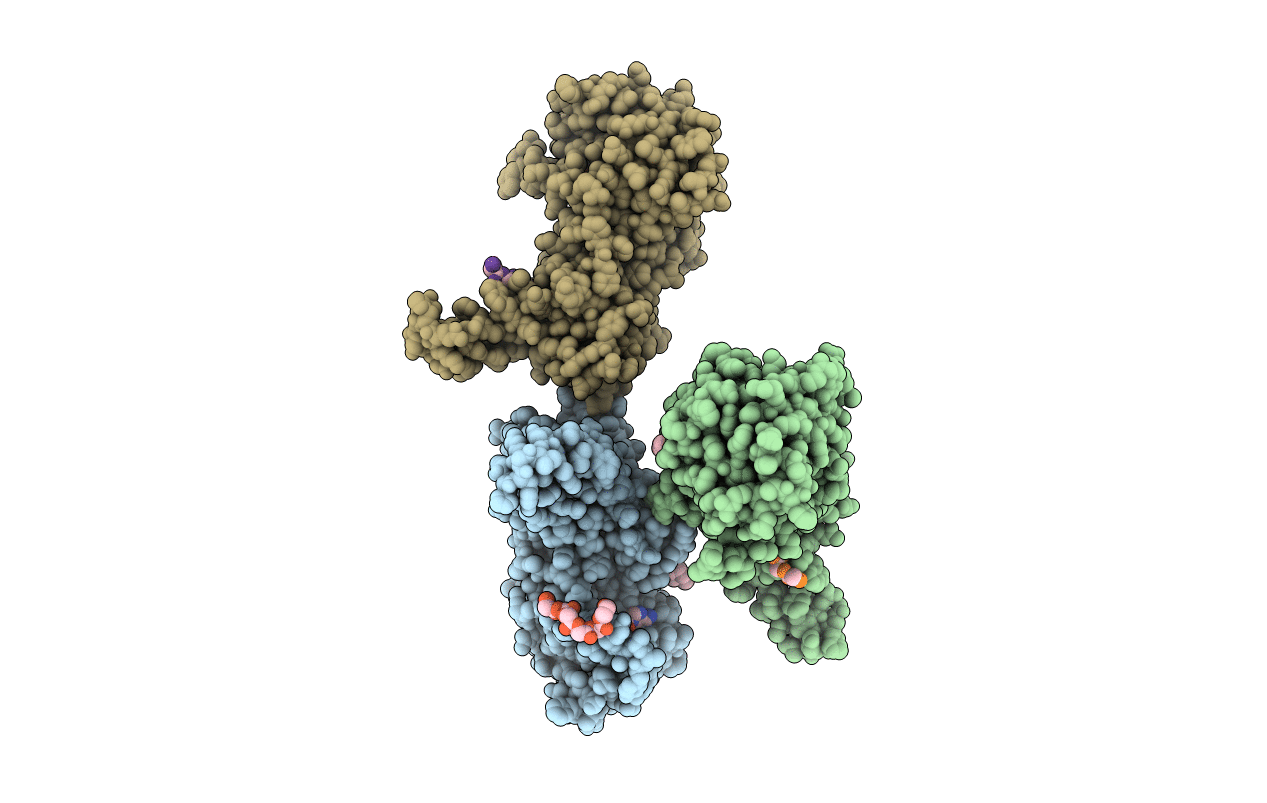 4QPP image