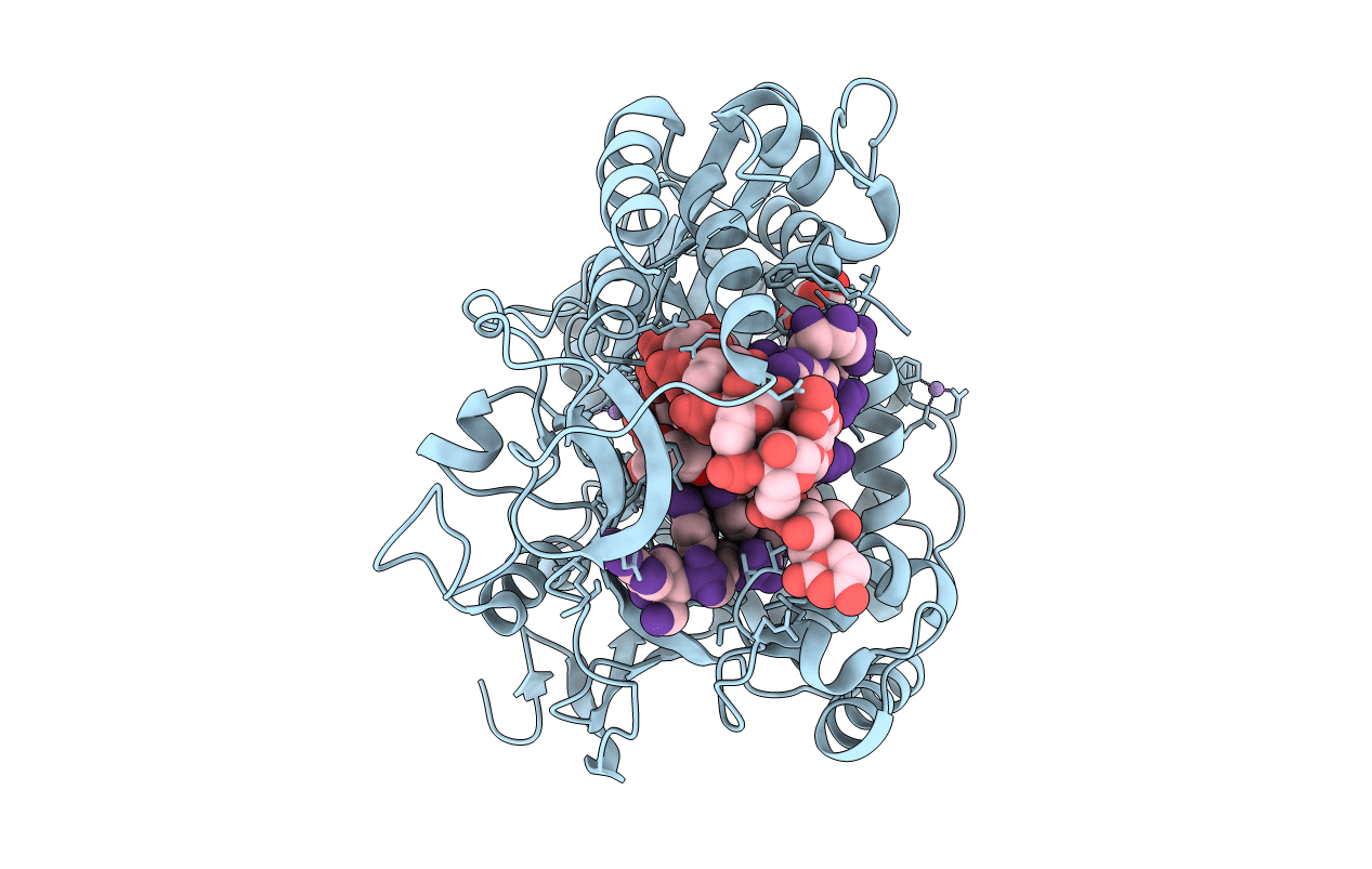 4QPX image