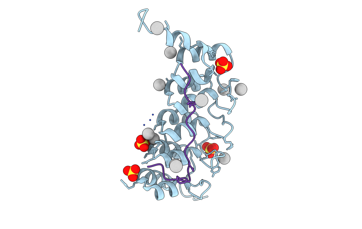 4QQI image